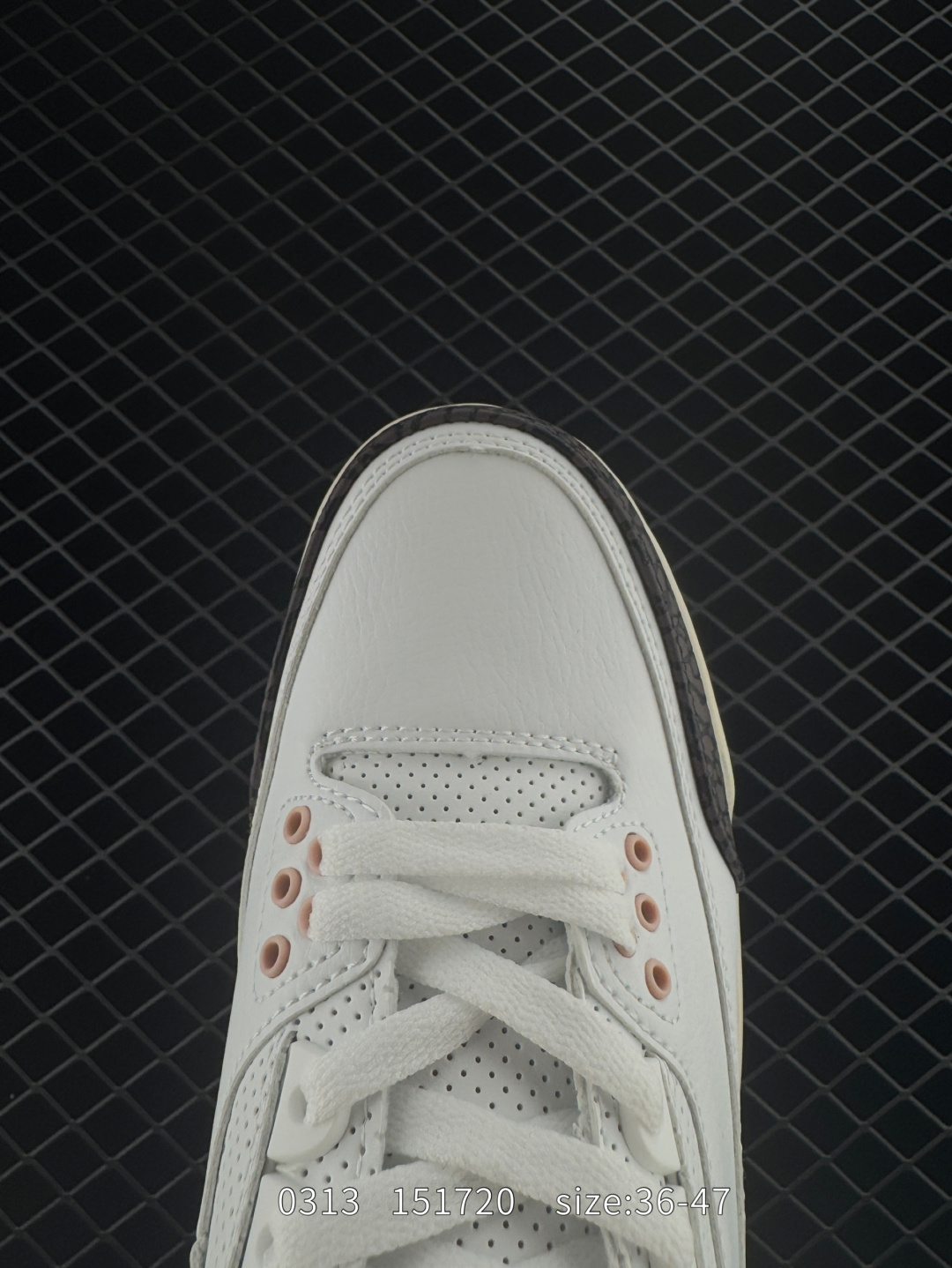 Nike Air Jordan 3 Retro SE